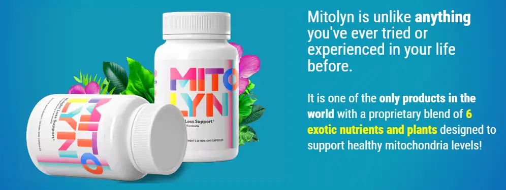 Mitolyn Supplement Review