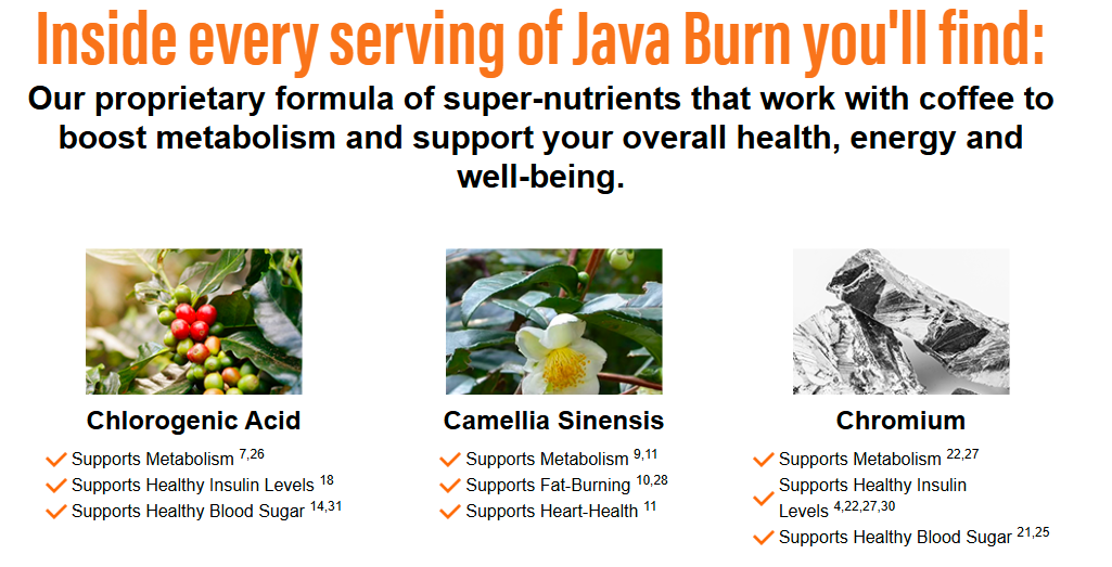 java burn 2.0 review