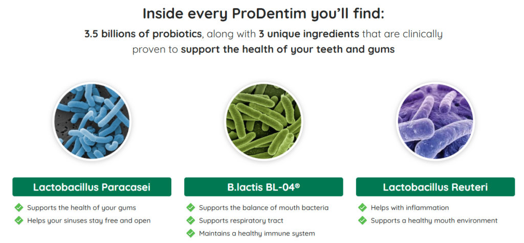 ProDentim Review--Ingradients