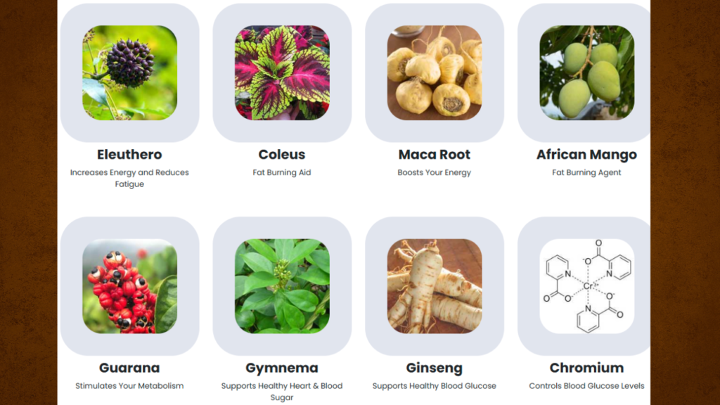 Sugar Defender Review-Ingradients