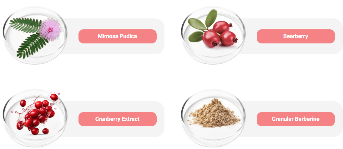Quality Badges GMP FDA Non-GMO USA Natural